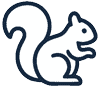squirrel Rodent prevention GTA